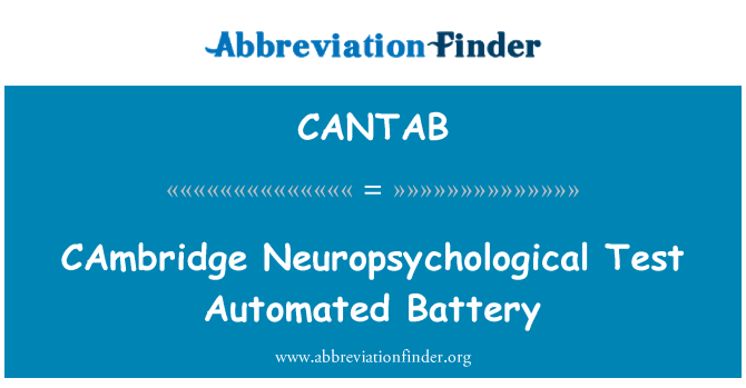 CANTAB: ケンブリッジ神経心理学的自動検査