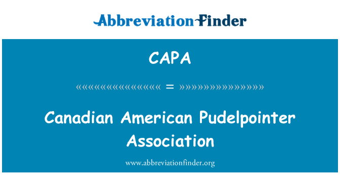 CAPA: Canadian American Pudelpointer Association