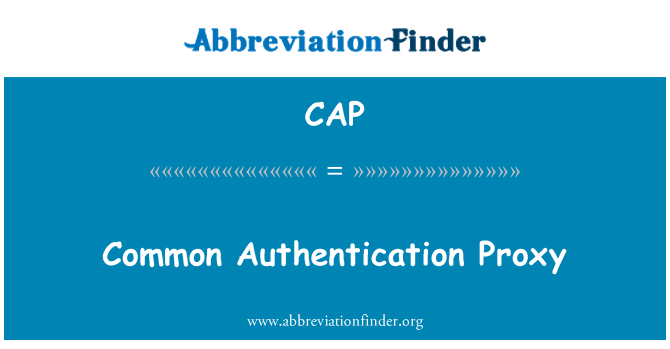 CAP: Common Authentication Proxy