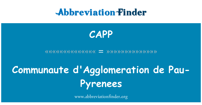CAPP: Communaute d'Agglomeration de Pau-Pyrenees