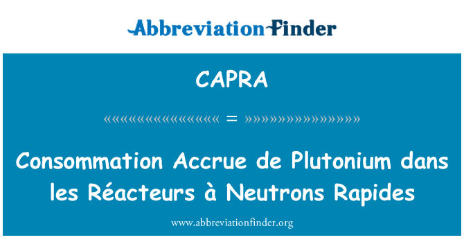 CAPRA: Les dans Plutonium de terakru Consommation Réacteurs à Rapides neutron