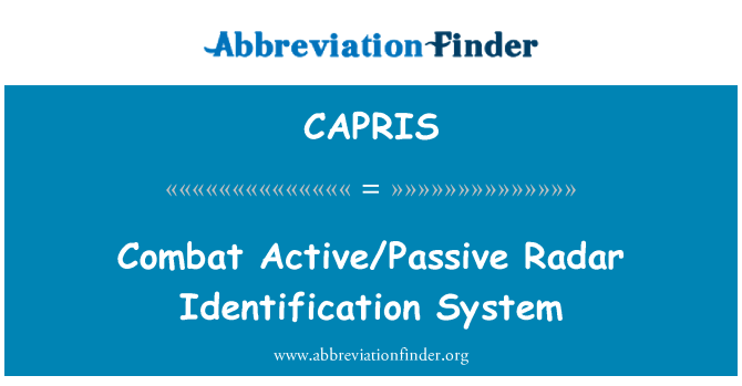 CAPRIS: Combat Active/Passive Radar Identification System