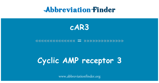 cAR3: Cyclisch ADENOSINEMONOFOSFAAT receptor 3