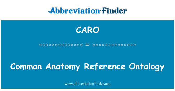 CARO: 常见解剖参考本体论