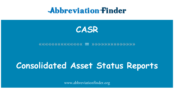 CASR: Consolidate rapoarte de stare activ