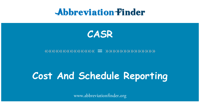 CASR: Kostnad och schema rapportering