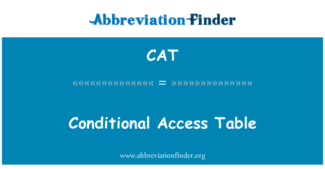CAT: Conditional Access Table