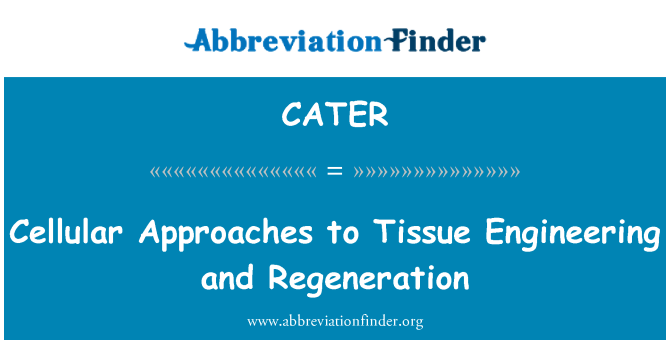 CATER: Cellulära metoder inom Tissue Engineering och förnyelse