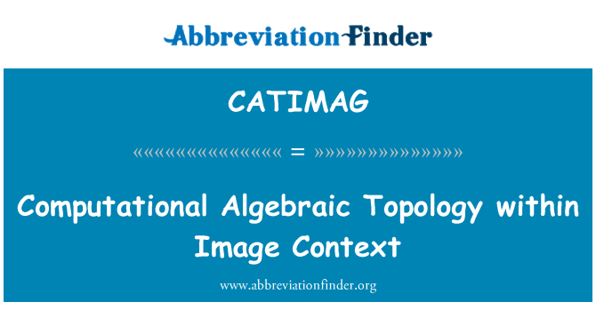 CATIMAG: Computational Topologie algébrique dans le contexte de l'Image