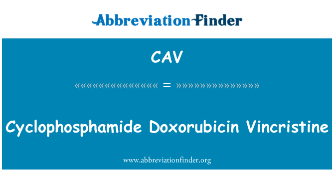 CAV: Cyklofosfamid Doxorubicin Vincristine