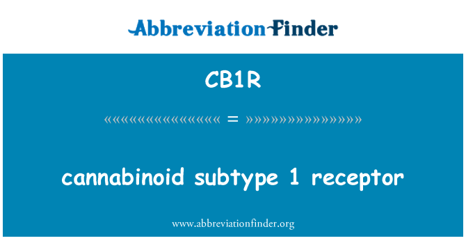 CB1R: cannabinoid subtype 1 receptor