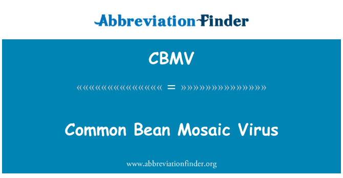 CBMV: 일반적인 콩 모자이크 바이러스
