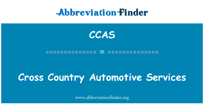 CCAS: Kirsti šalies automobilių paslaugos