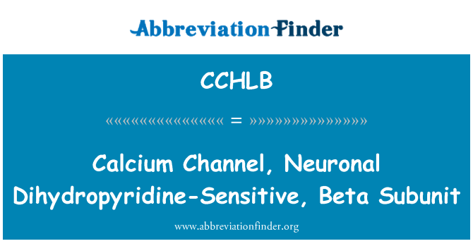 CCHLB: Vápníkový kanál, neuronální dihydropyridinového citlivý, Beta podjednotka