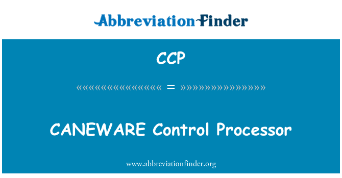 CCP: CANEWARE 控制处理器