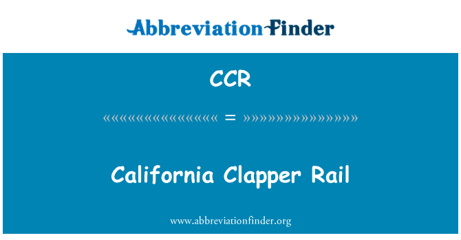 CCR: Ray Clapper Californie