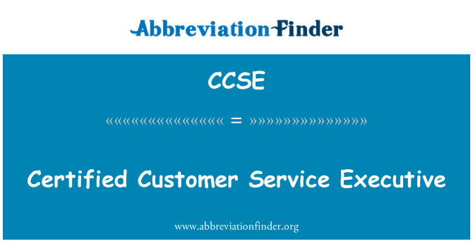 CCSE: Sertificēto klientu servisa izpilddirektors