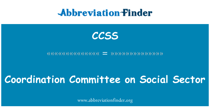 CCSS: Coordination Committee on Social Sector