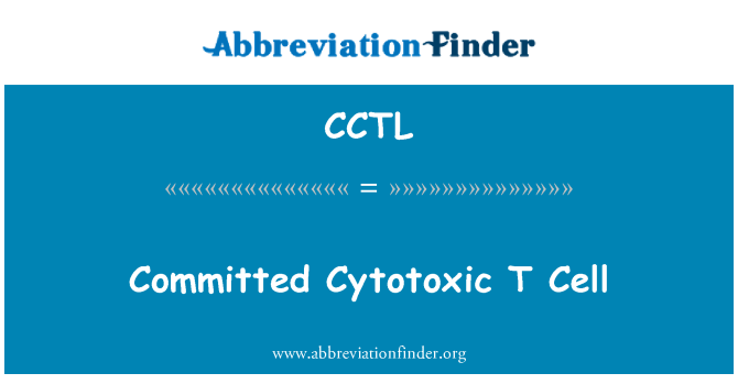 CCTL: Begaan van cytotoxische T-cel