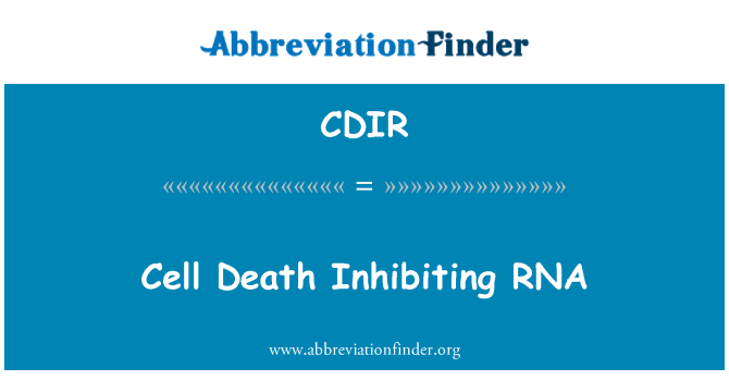 CDIR: 抑制 RNA 的細胞死亡