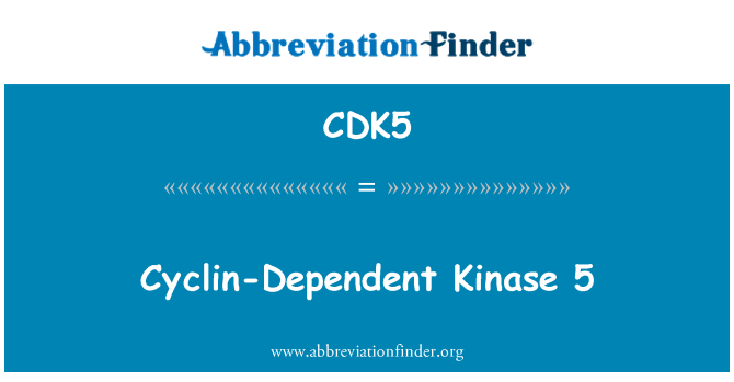 CDK5: Cyclin-निर्भर Kinase 5