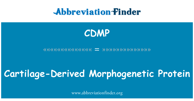 CDMP: Deillio cartilag Morphogenetic Protein