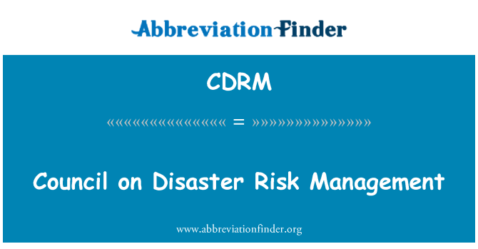 CDRM: Council on Disaster Risk Management