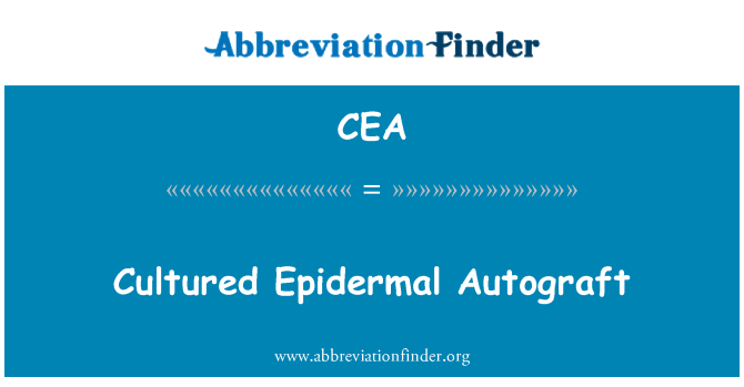 CEA: Perles Épidermiques Autograft