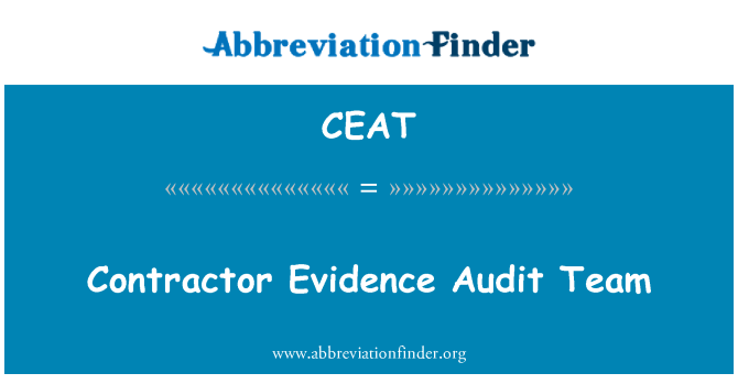 CEAT: پیمانکار شواهد تیم ممیزی