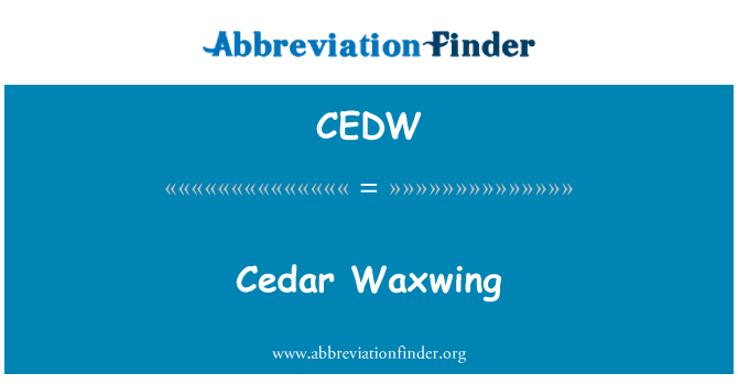 CEDW: Cedar Waxwing