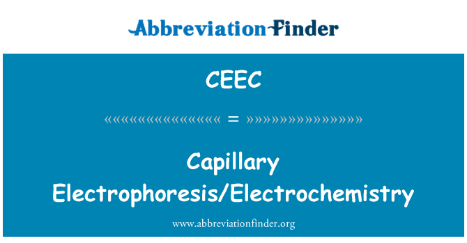 CEEC: Elektroforezy kapilarnej/elektrochemii