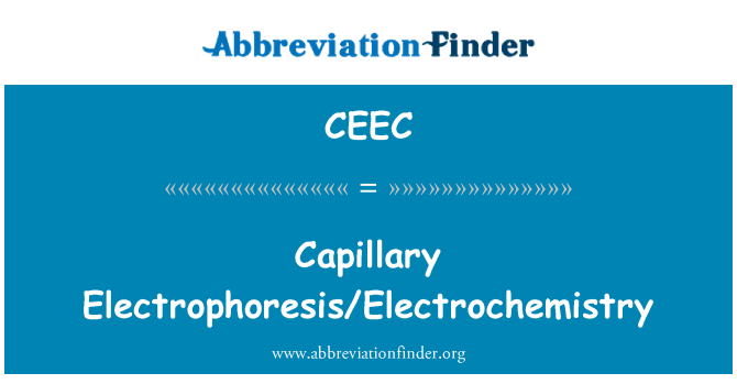 CEEC: Electroforesi capil·lar/electroquímica