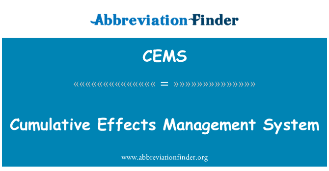 CEMS: 累积效应管理系统