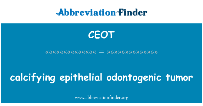 CEOT: tumors epitelials odontogenic calcifying