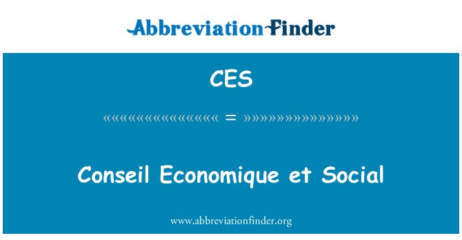 CES: موسسه تحقيقات Economique همکاران اجتماعی