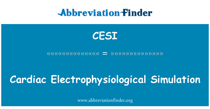 CESI: Simulation Electrophysiological kadyak