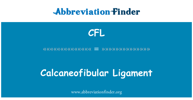 CFL: Ligamen calcaneofibular