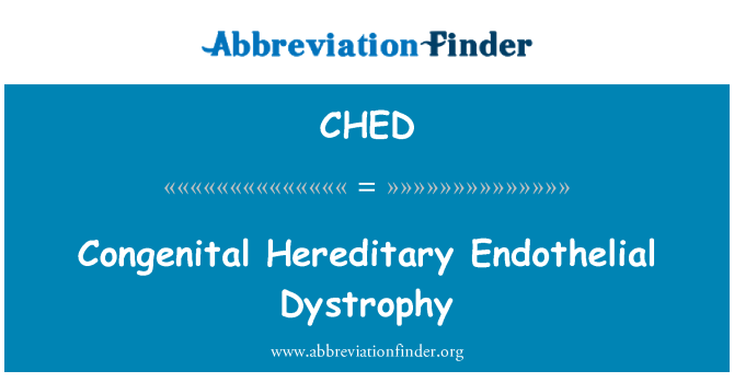 CHED: 先天性遺伝性角膜内皮ジストロフィー