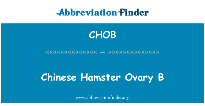 CHOB: Hamster Chinwa pòch/sak ze B
