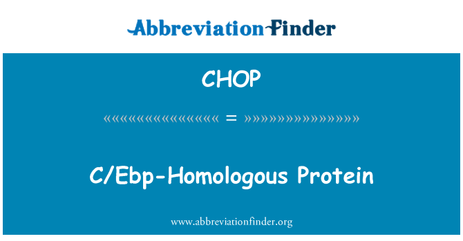 CHOP: C/Ebp homologní proteinů