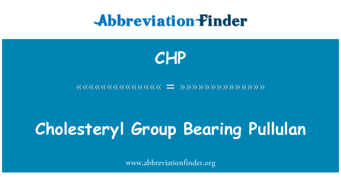 CHP: Cholesteryl Group Bearing Pullulan