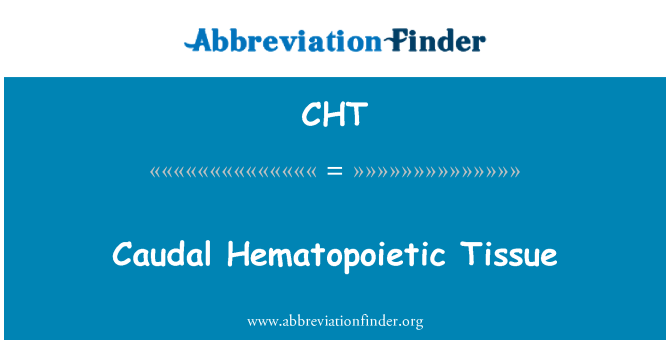 CHT: Tissus Hématopoïétique caudal
