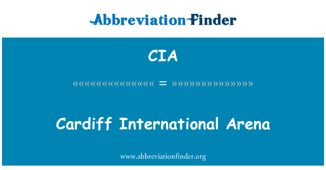 CIA: 카디프 국제 경기장