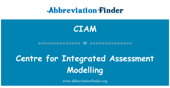 CIAM: 中心的綜合的評價模型