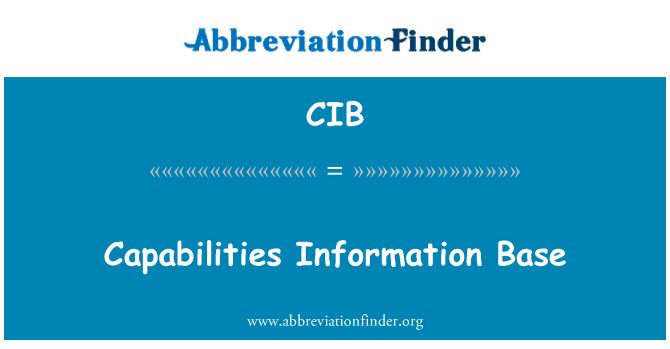 CIB: Mogelijkheden informatiebasis