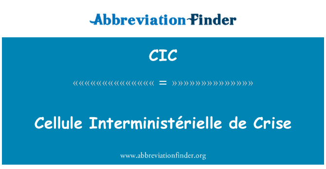 CIC: Cellule Interministérielle de Crise