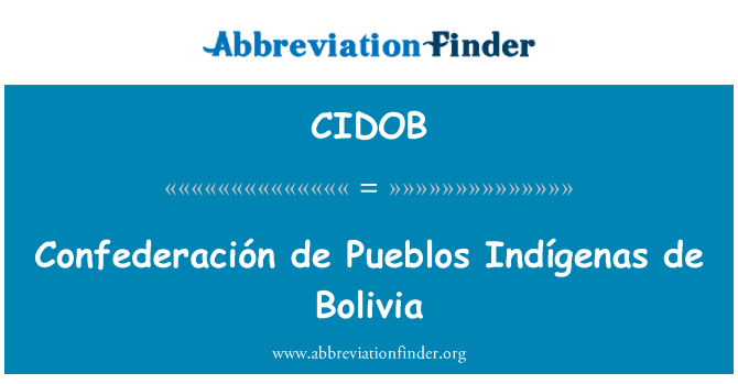 CIDOB: الاتحاد دي الهنود الحمر السكان الأصليين في بوليفيا