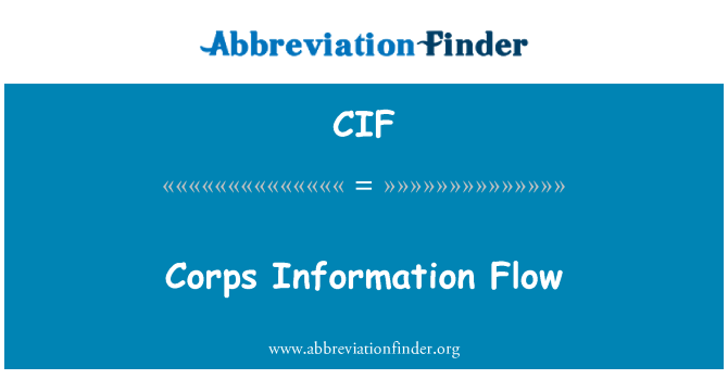 CIF: זרימת המידע חיל
