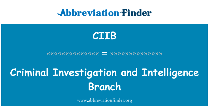 CIIB: आपराधिक जांच और खुफिया शाखा