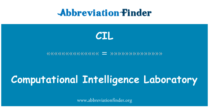 CIL: Arvutuslik luure labor